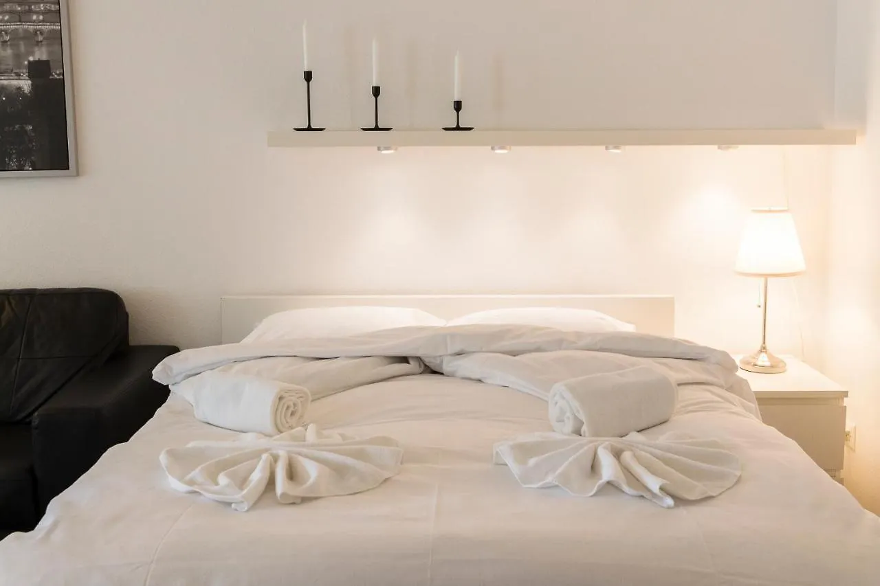 New Renovated Modern Furnished Apartment Downtown Zurich