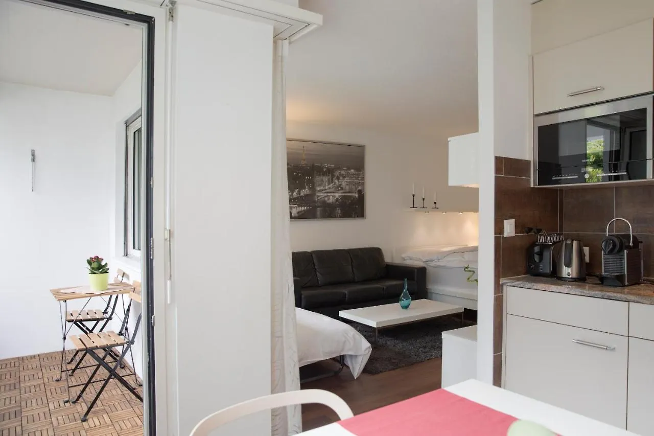 New Renovated Modern Furnished Apartment Downtown Zurich